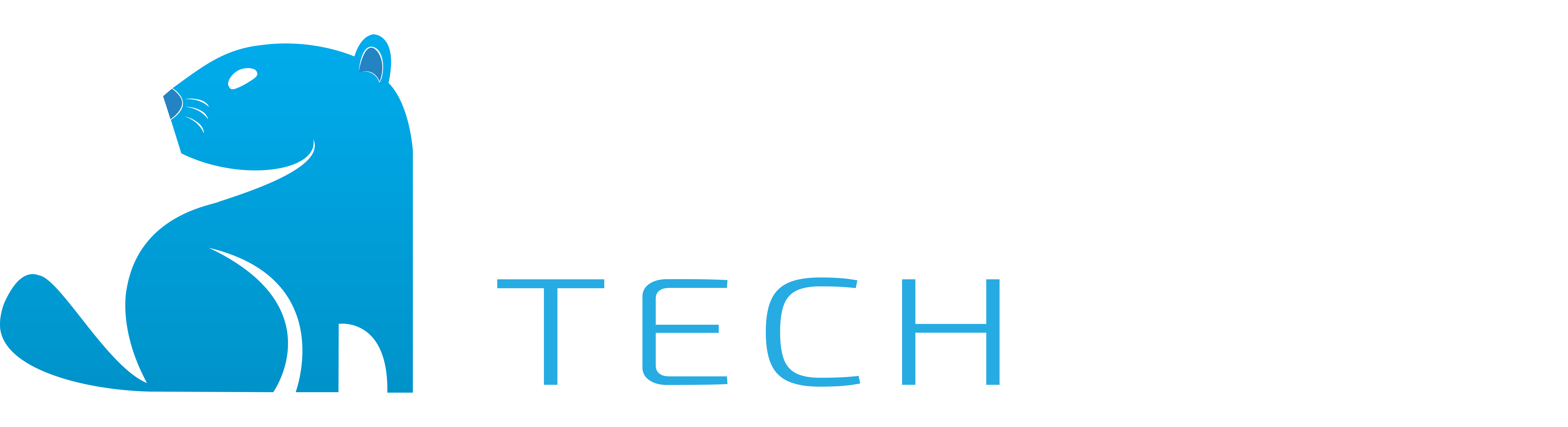 Beaver Tech